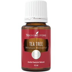 Aceite Esencial de Tea Tree (Árbol de Té)